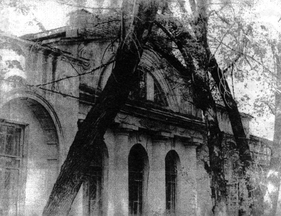 prijut.jpg (34437 bytes)